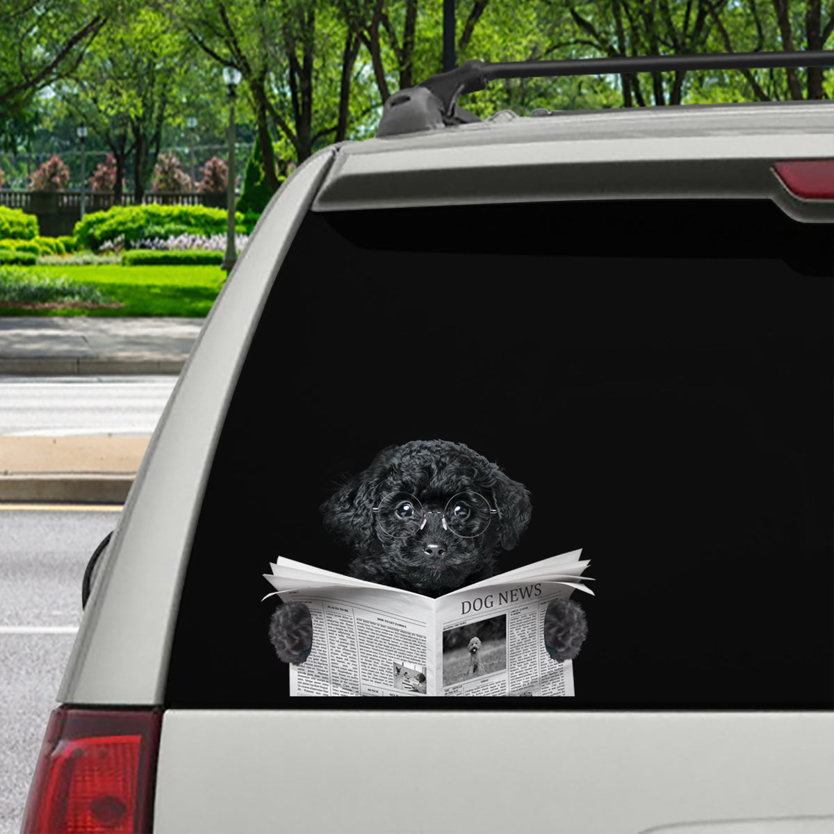 Have You Read The News Today - Poodle Car/ Door/ Fridge/ Laptop Sticker V1