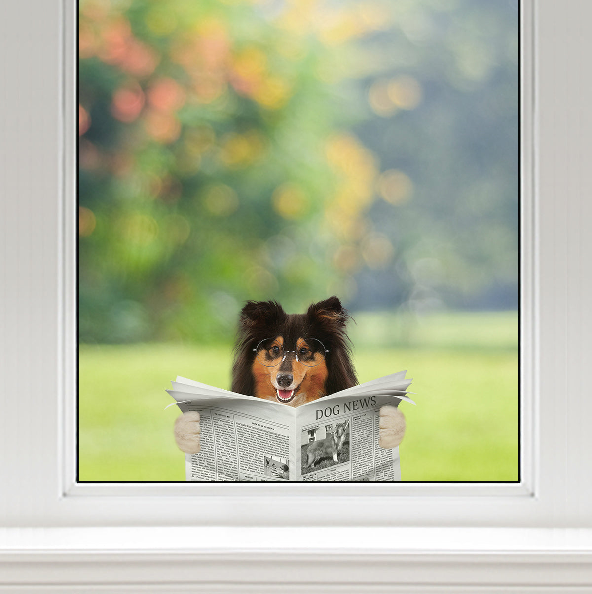 Have You Read The News Today - Rough Collie Car/ Door/ Fridge/ Laptop Sticker V1