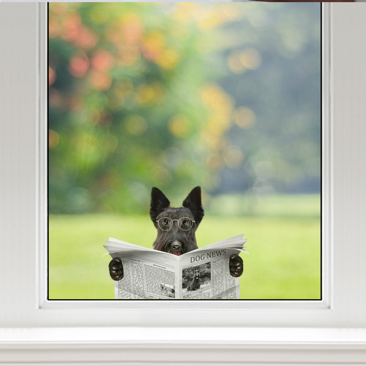 Haben Sie die Nachrichten heute gelesen? – Scottish Terrier Auto-/Tür-/Kühlschrank-/Laptop-Aufkleber V1