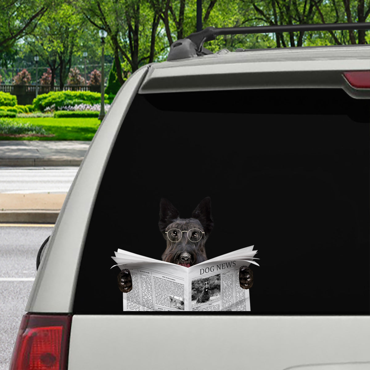 Haben Sie die Nachrichten heute gelesen? – Scottish Terrier Auto-/Tür-/Kühlschrank-/Laptop-Aufkleber V1