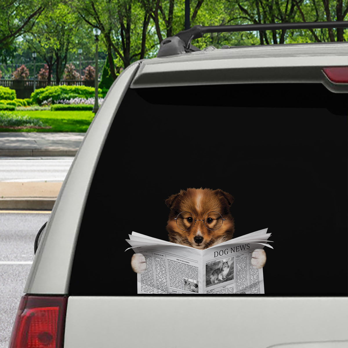 Have You Read The News Today - Shetland Sheepdog Car/ Door/ Fridge/ Laptop Sticker V1