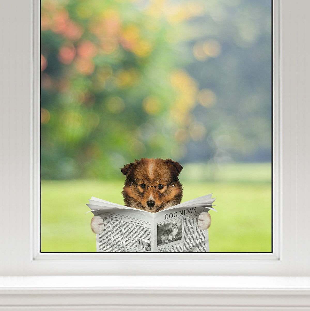 Have You Read The News Today - Shetland Sheepdog Car/ Door/ Fridge/ Laptop Sticker V1