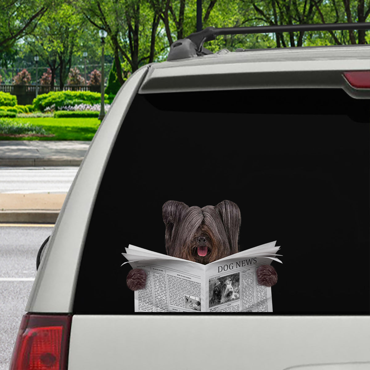 Haben Sie heute die Nachrichten gelesen – Skye Terrier Auto-/Tür-/Kühlschrank-/Laptop-Aufkleber V1