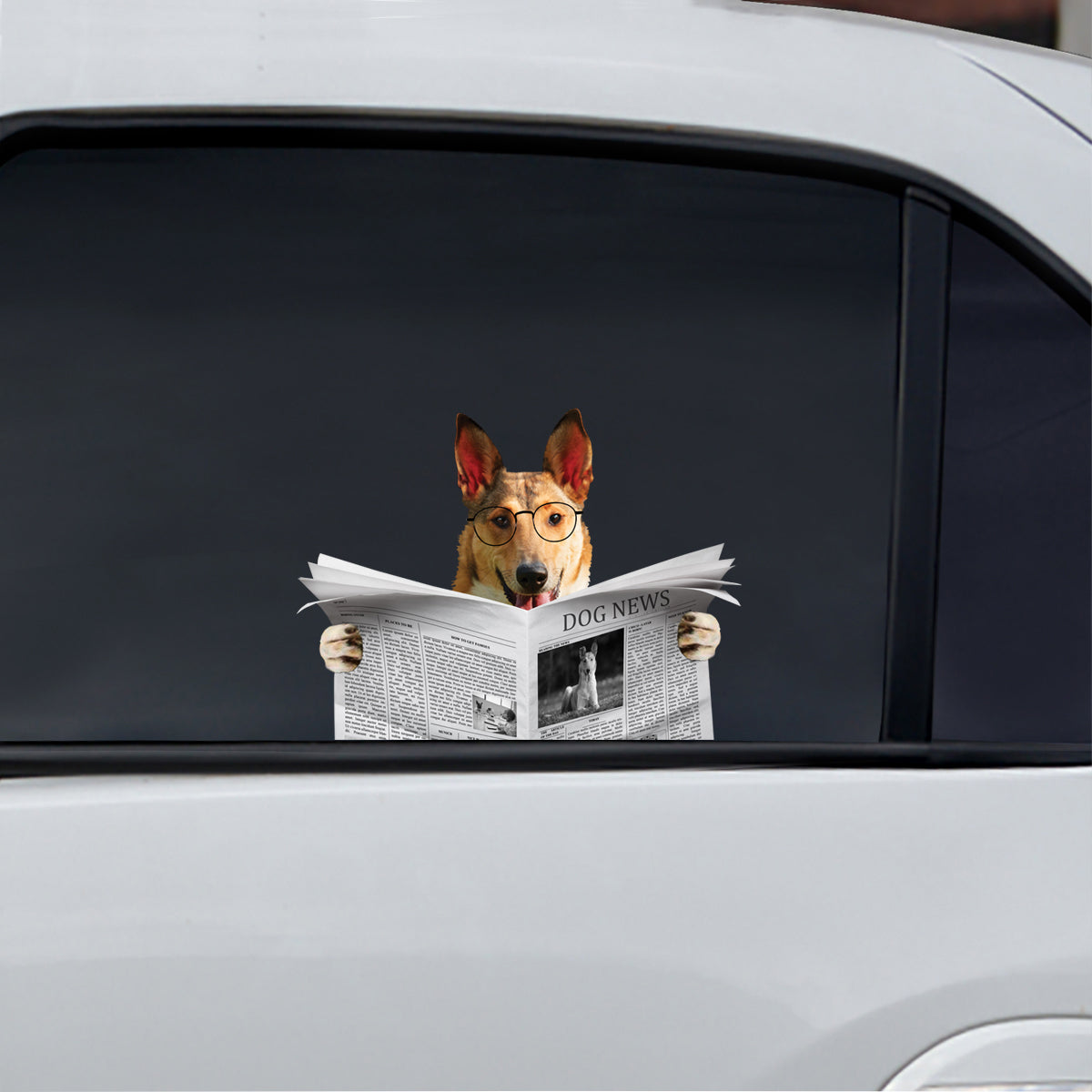 Haben Sie heute die Nachrichten gelesen? Aufkleber „Smooth Collie“ für Auto/Tür/Kühlschrank/Laptop V1