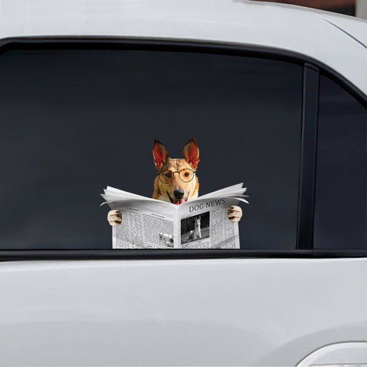 Have You Read The News Today - Smooth Collie Car/ Door/ Fridge/ Laptop Sticker V1