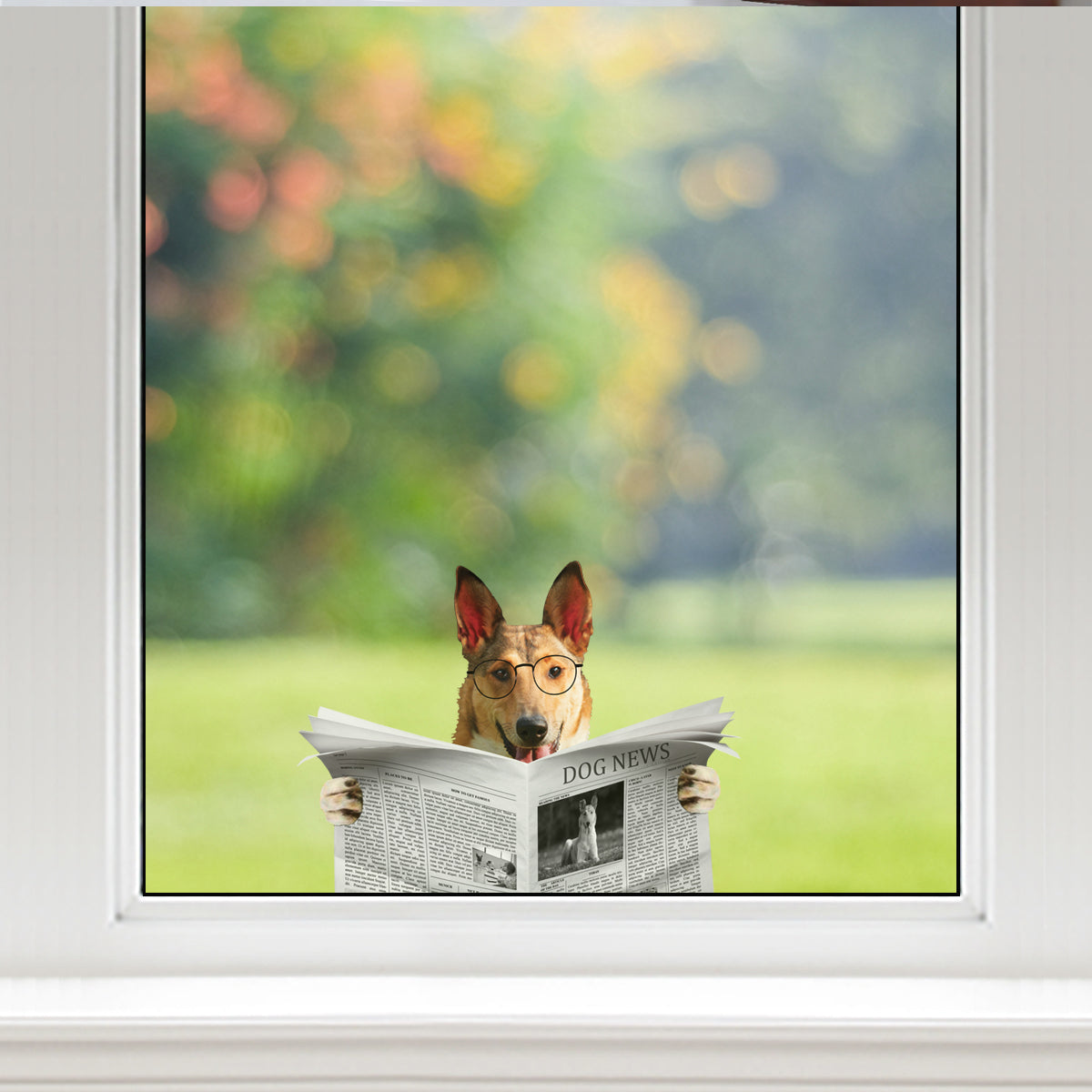 Haben Sie heute die Nachrichten gelesen? Aufkleber „Smooth Collie“ für Auto/Tür/Kühlschrank/Laptop V1