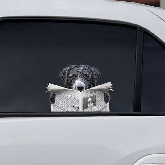 Haben Sie heute die Nachrichten gelesen? Spanischer Wasserauto-/Tür-/Kühlschrank-/Laptop-Aufkleber V1