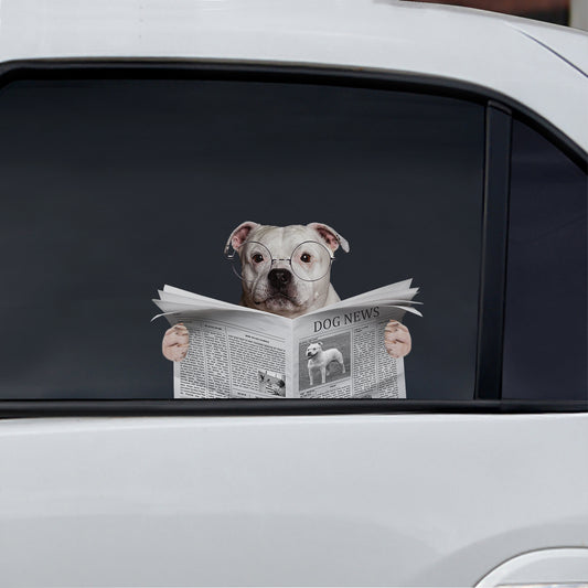 Have You Read The News Today - Staffordshire Bull Terrier Car/ Door/ Fridge/ Laptop Sticker V1