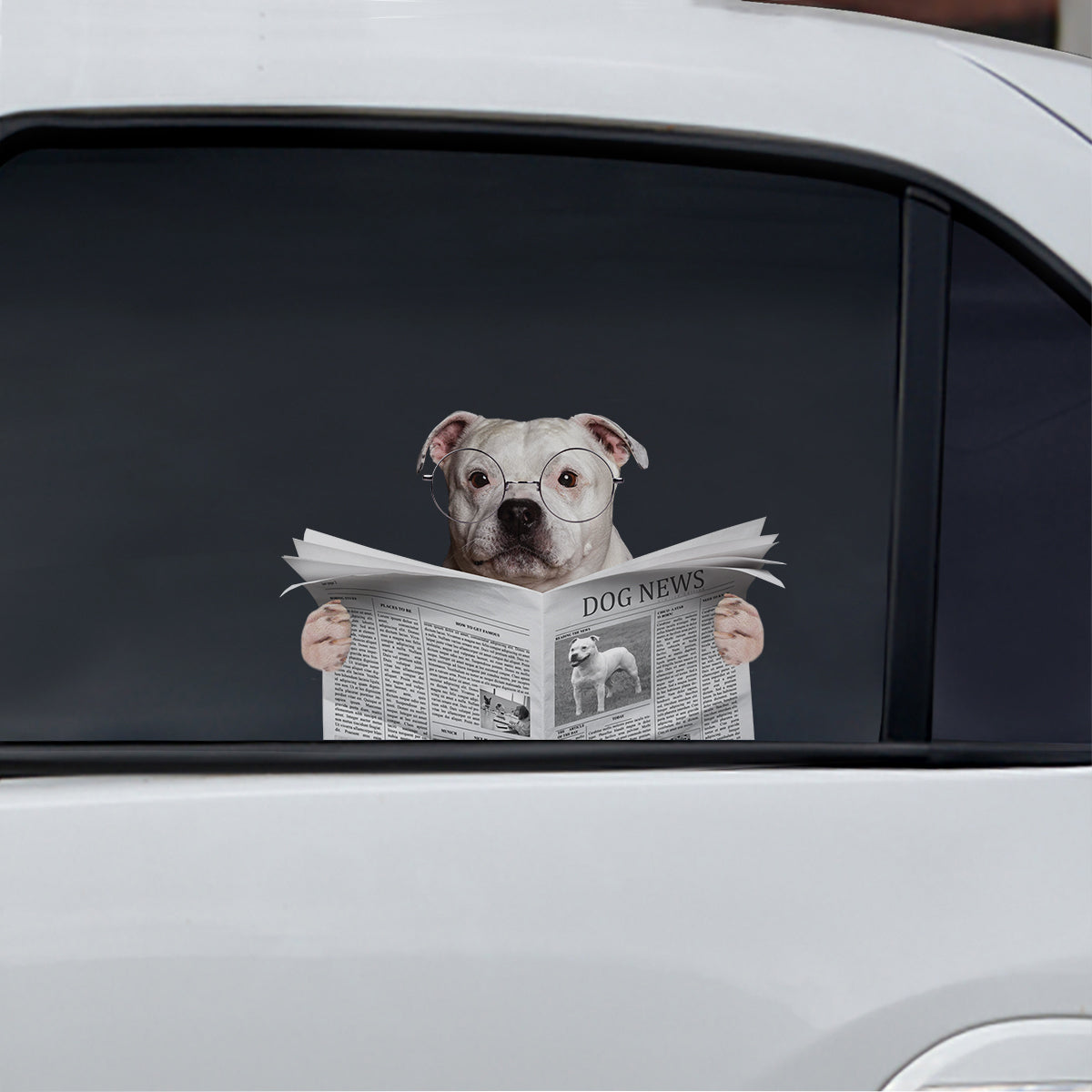 Haben Sie die Nachrichten heute gelesen? Aufkleber „Staffordshire Bull Terrier“ für Auto, Tür, Kühlschrank und Laptop, V1