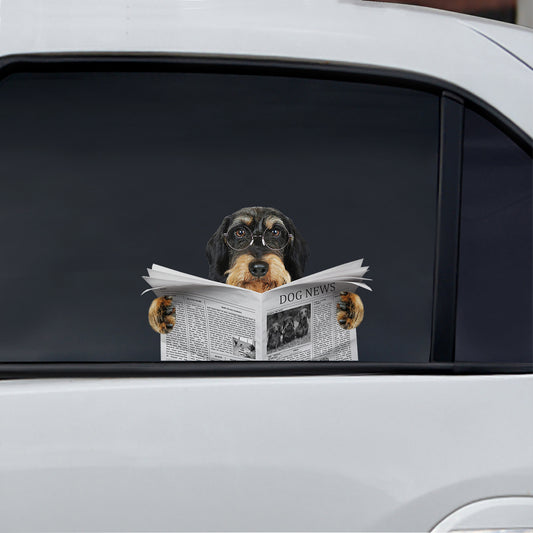 Have You Read The News Today - Wire Haired Dachshund Car/ Door/ Fridge/ Laptop Sticker V1