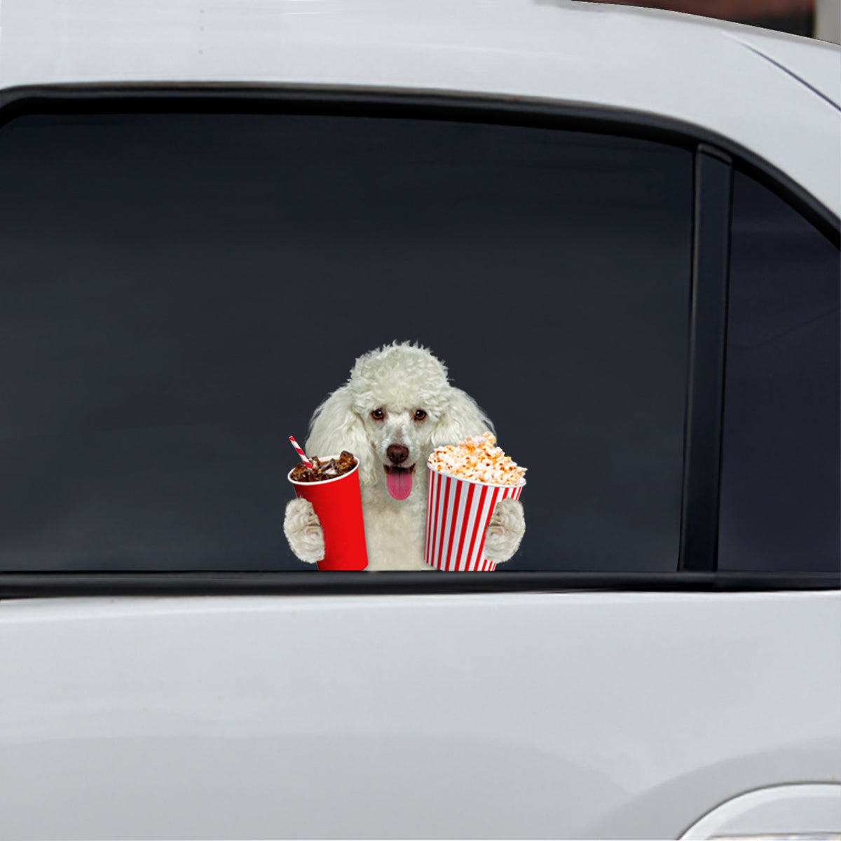 Hey, je veux en essayer - Autocollant de voiture/porte/réfrigérateur/ordinateur portable caniche V1