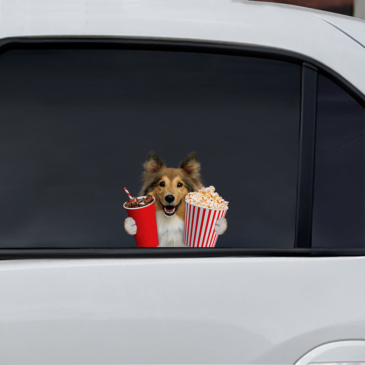 Hé, je veux en essayer - Autocollant de voiture/porte/réfrigérateur/ordinateur portable Shetland Sheepdog V1