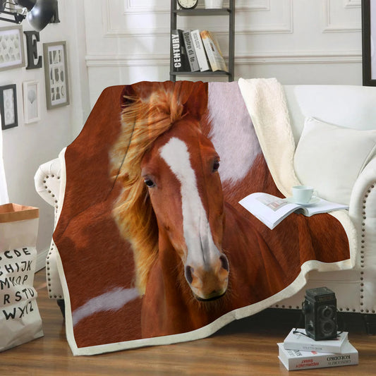 Horse Blanket V1