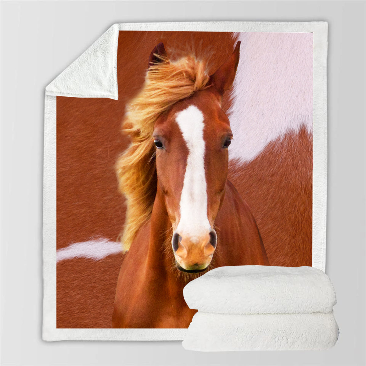 Horse Blanket V1