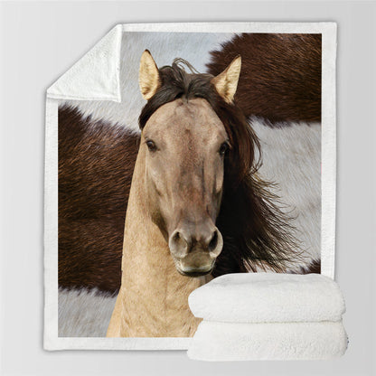 Horse Blanket V2