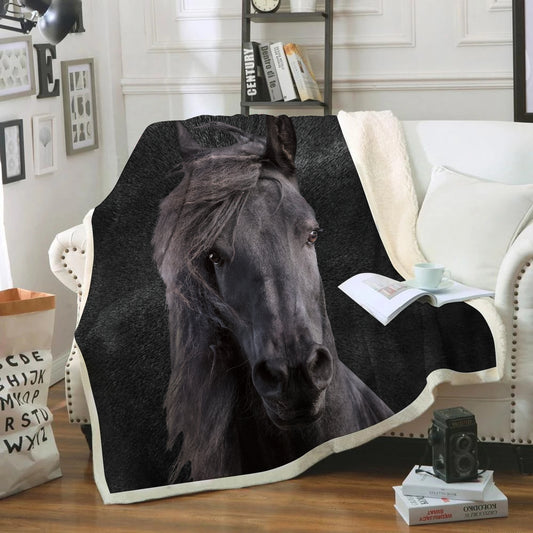 Horse Blanket V3