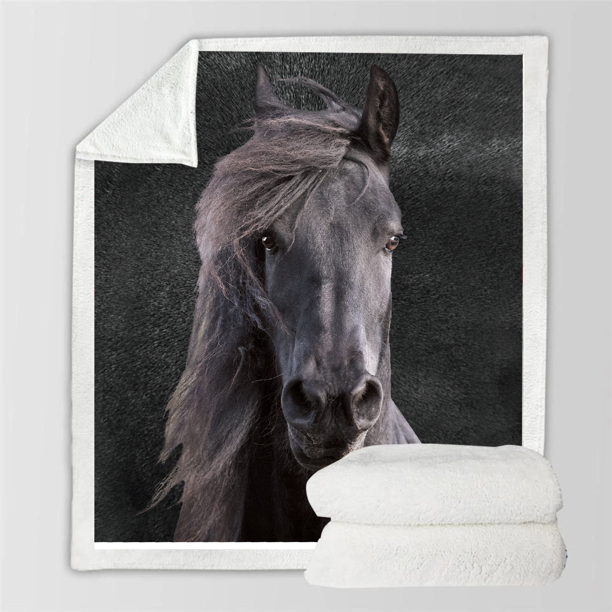Horse Blanket V3