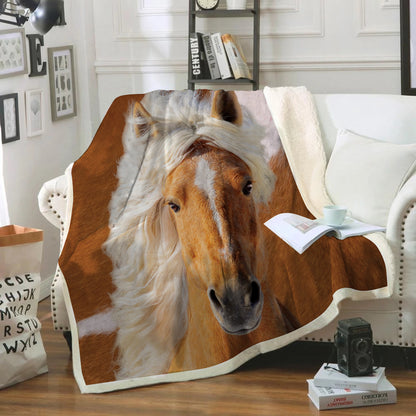 Horse Blanket V4