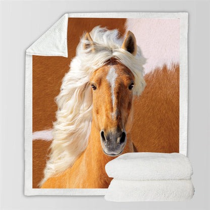 Horse Blanket V4