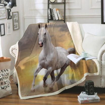 Horse Blanket V5