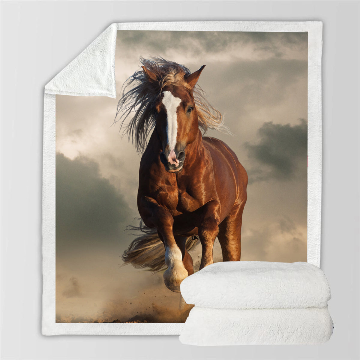 Horse Blanket V7
