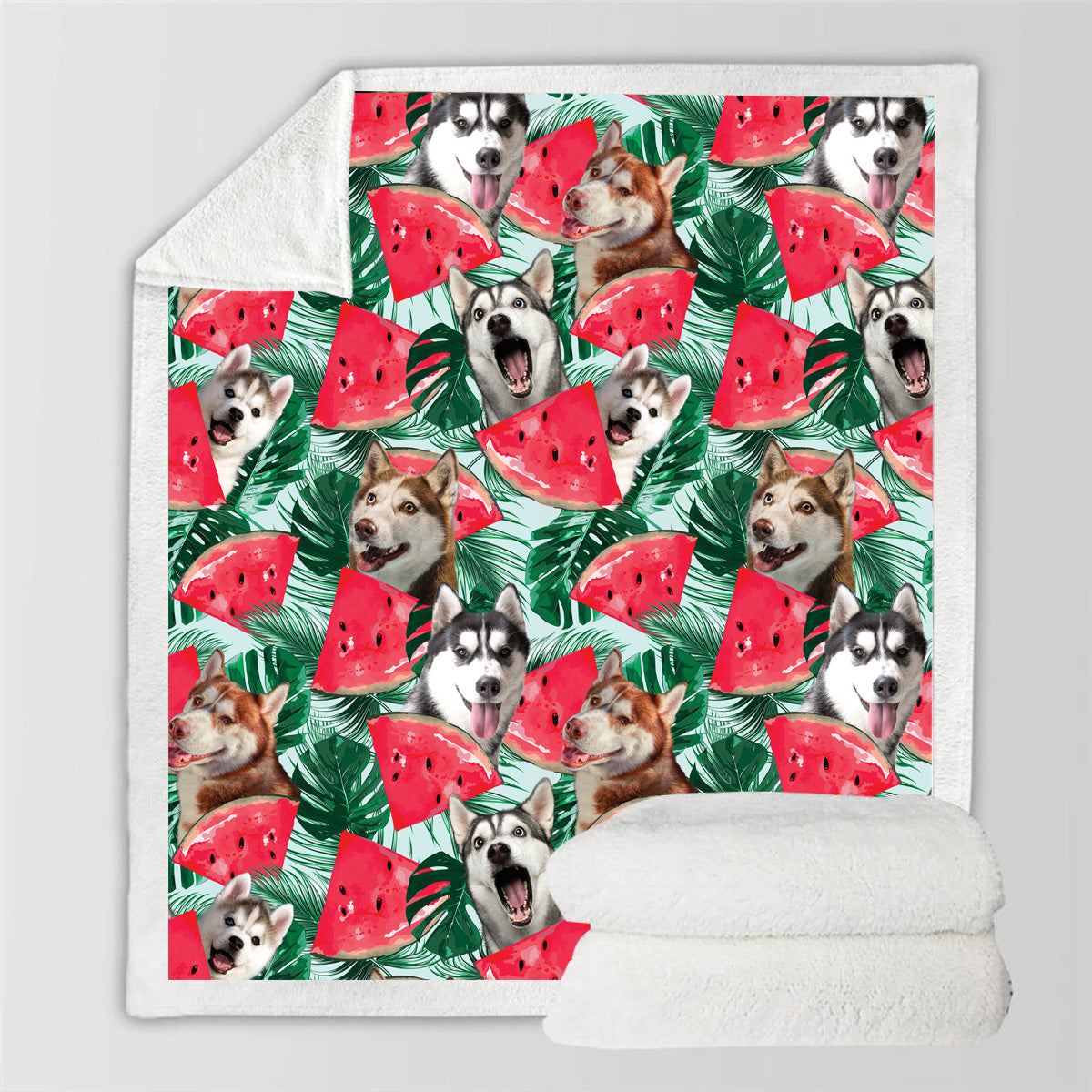 Husky - Colorful Blanket V1