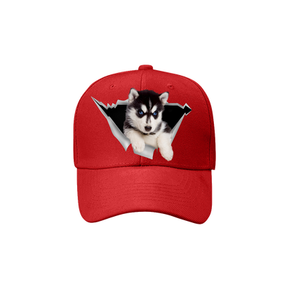 Husky Fan Club - Hat V1