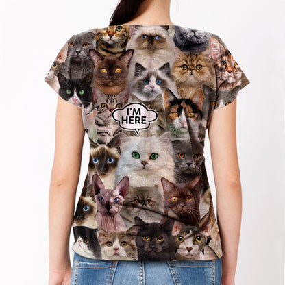 Ich bin hier - Persisches Chinchilla-Katzen-T-Shirt V1