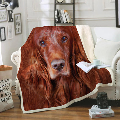 Irish Setter - Blanket V1