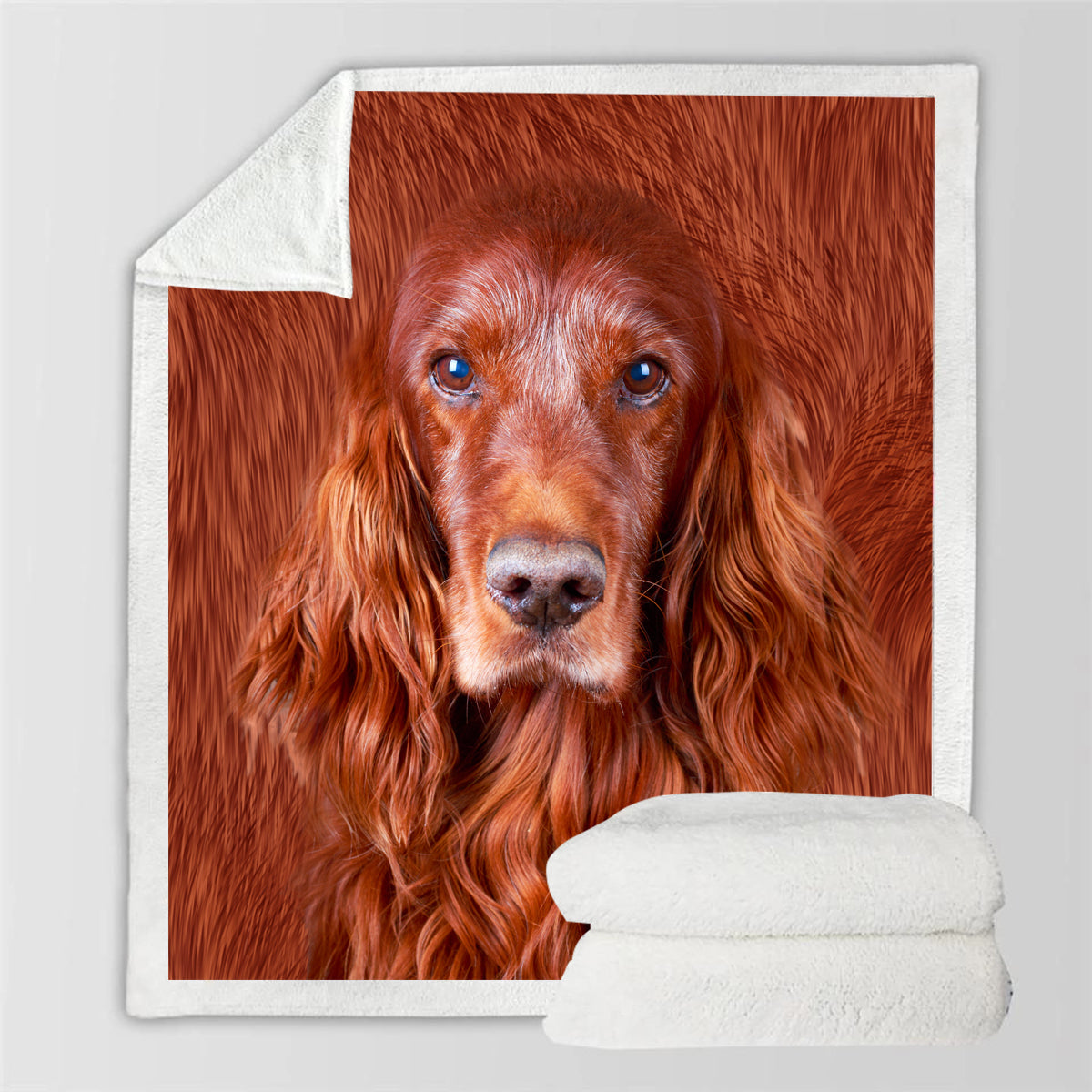 Irish Setter - Blanket V1