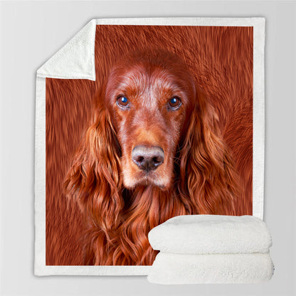 Irish Setter - Decke V1