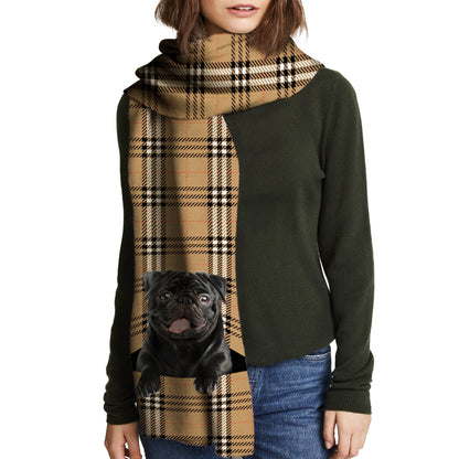 Gardez-vous au chaud - Carlin - Écharpe V2