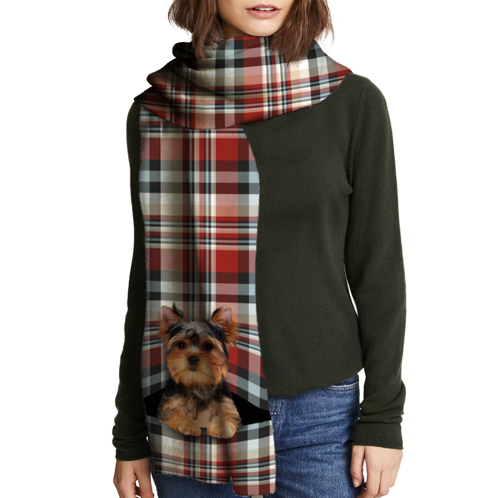 Hält Sie warm – Yorkshire Terrier – Schal V1