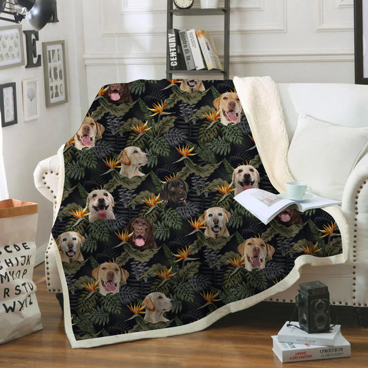Labrador - Colorful Blanket V1