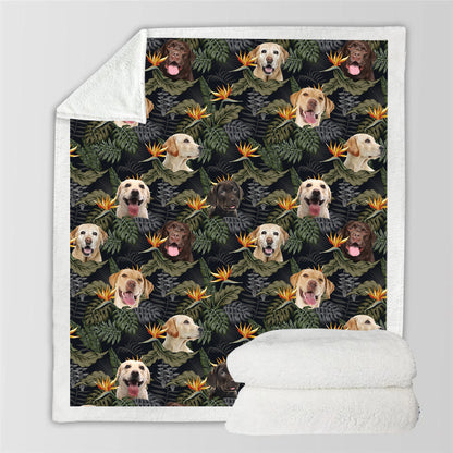 Labrador - Colorful Blanket V1