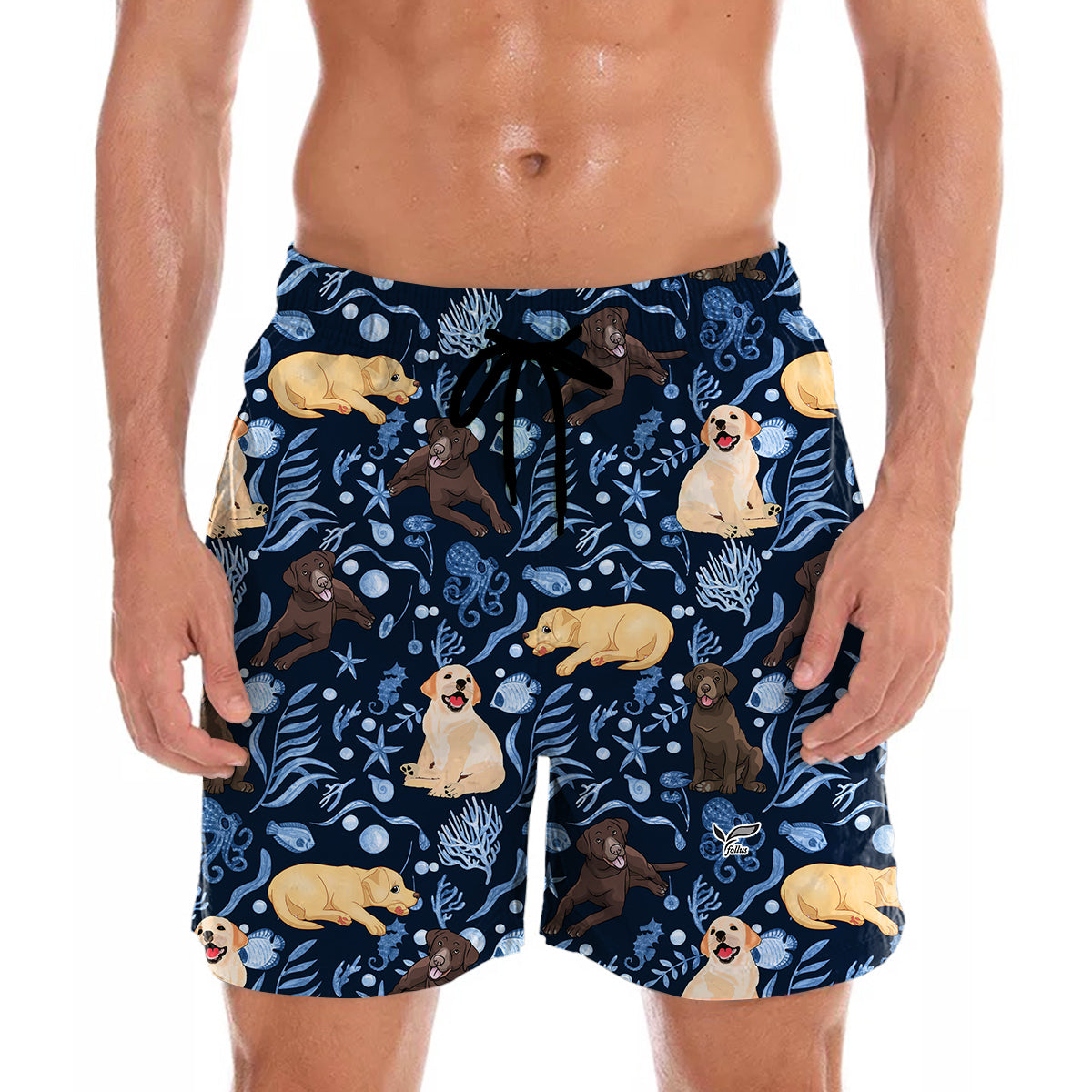 Labrador - Short Hawaïen V3