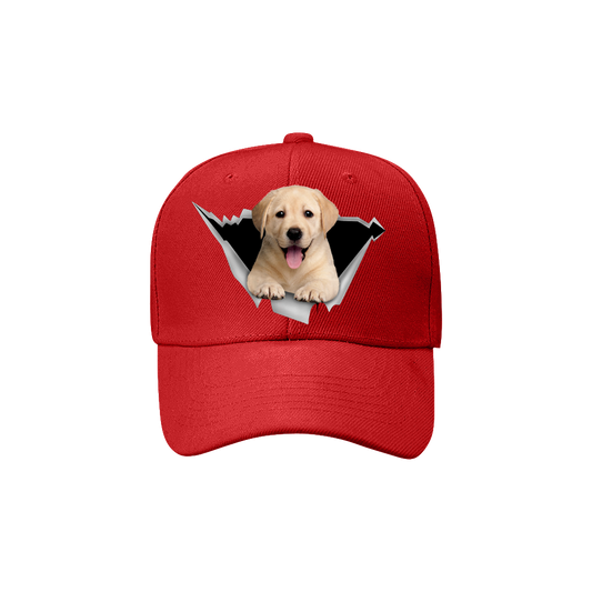 Labrador Fan Club - Hat V4
