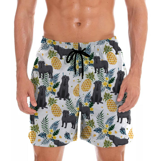 Mâtin napolitain - Short hawaïen V2