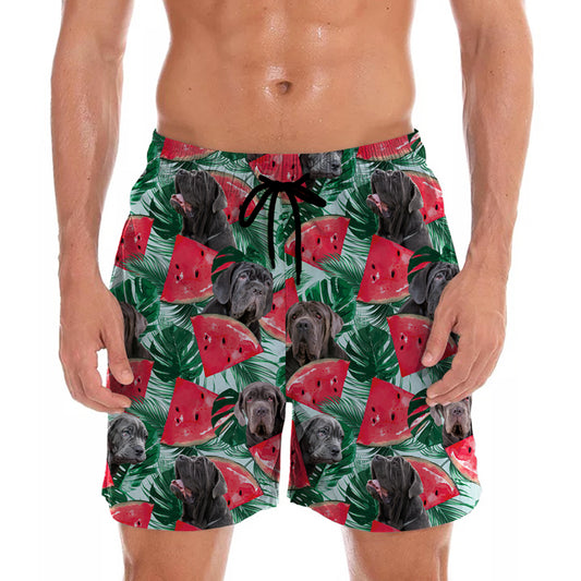 Dogue Napolitain - Short Hawaïen V3