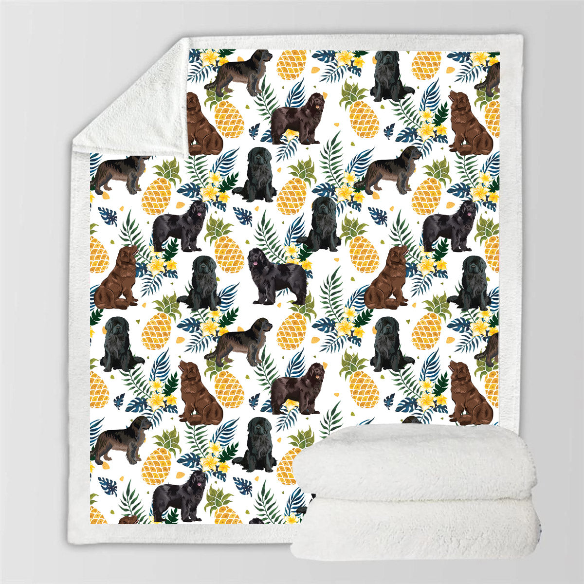 Terre-Neuve - Couverture colorée V1