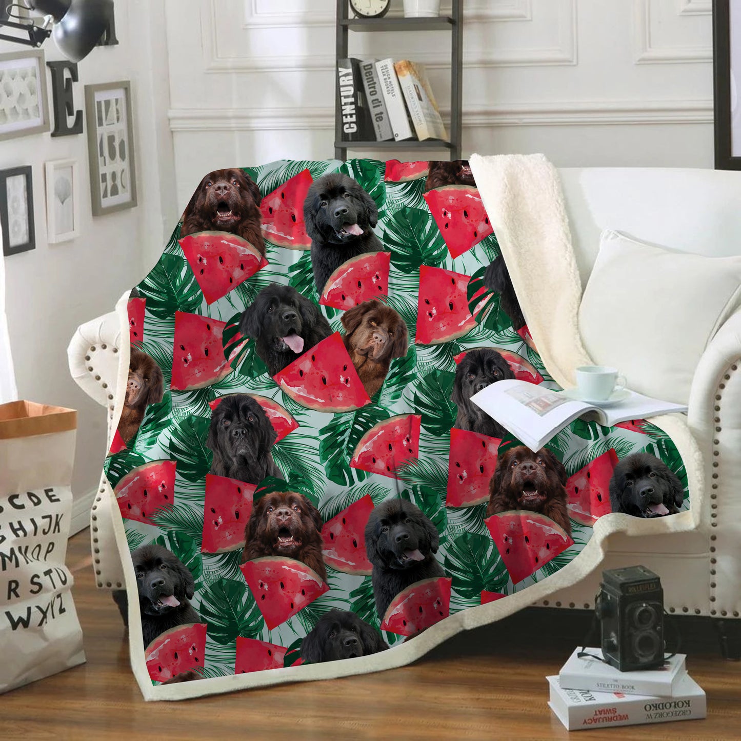 Terre-Neuve - Couverture colorée V2