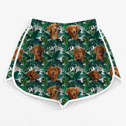 Nova Scotia Duck Tolling Retriever – Bunte Damen-Laufshorts V1