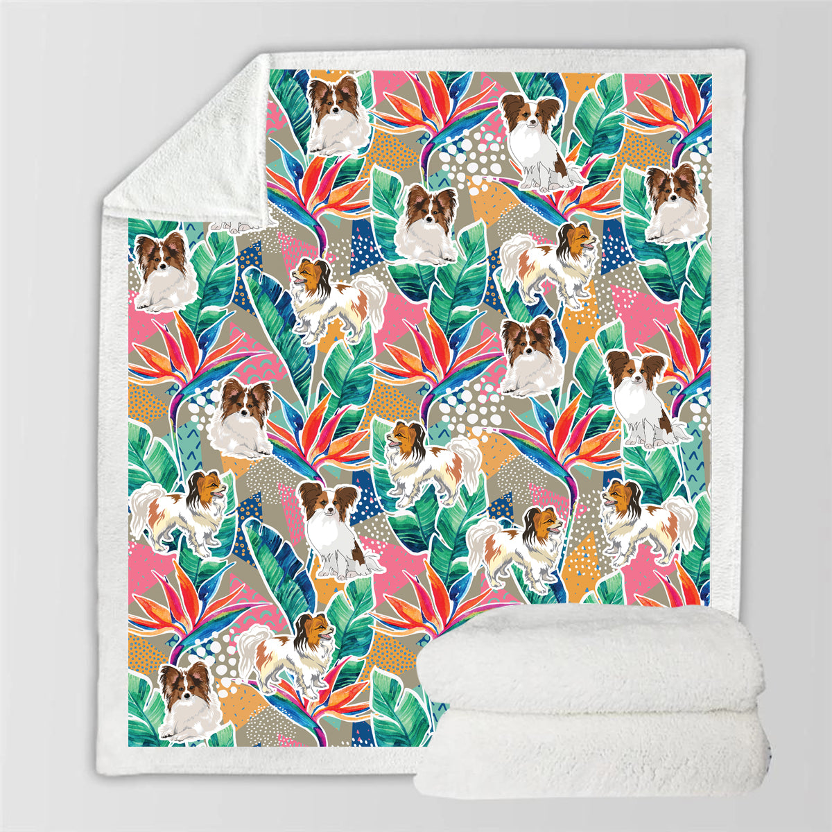 Papillon - Bunte Decke V2