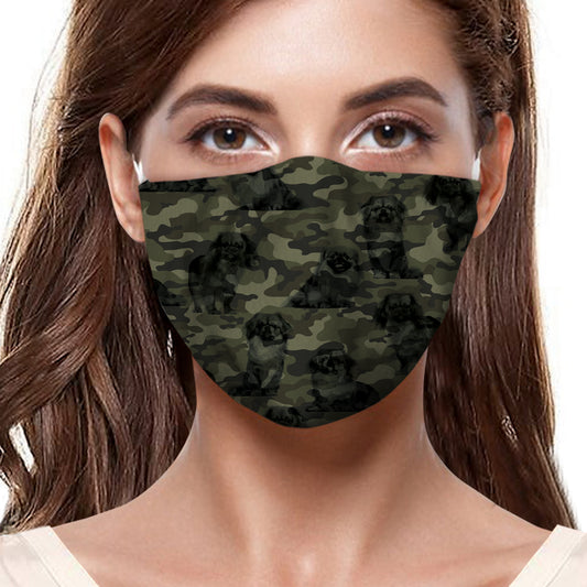 Masque F camouflage pékinois V1