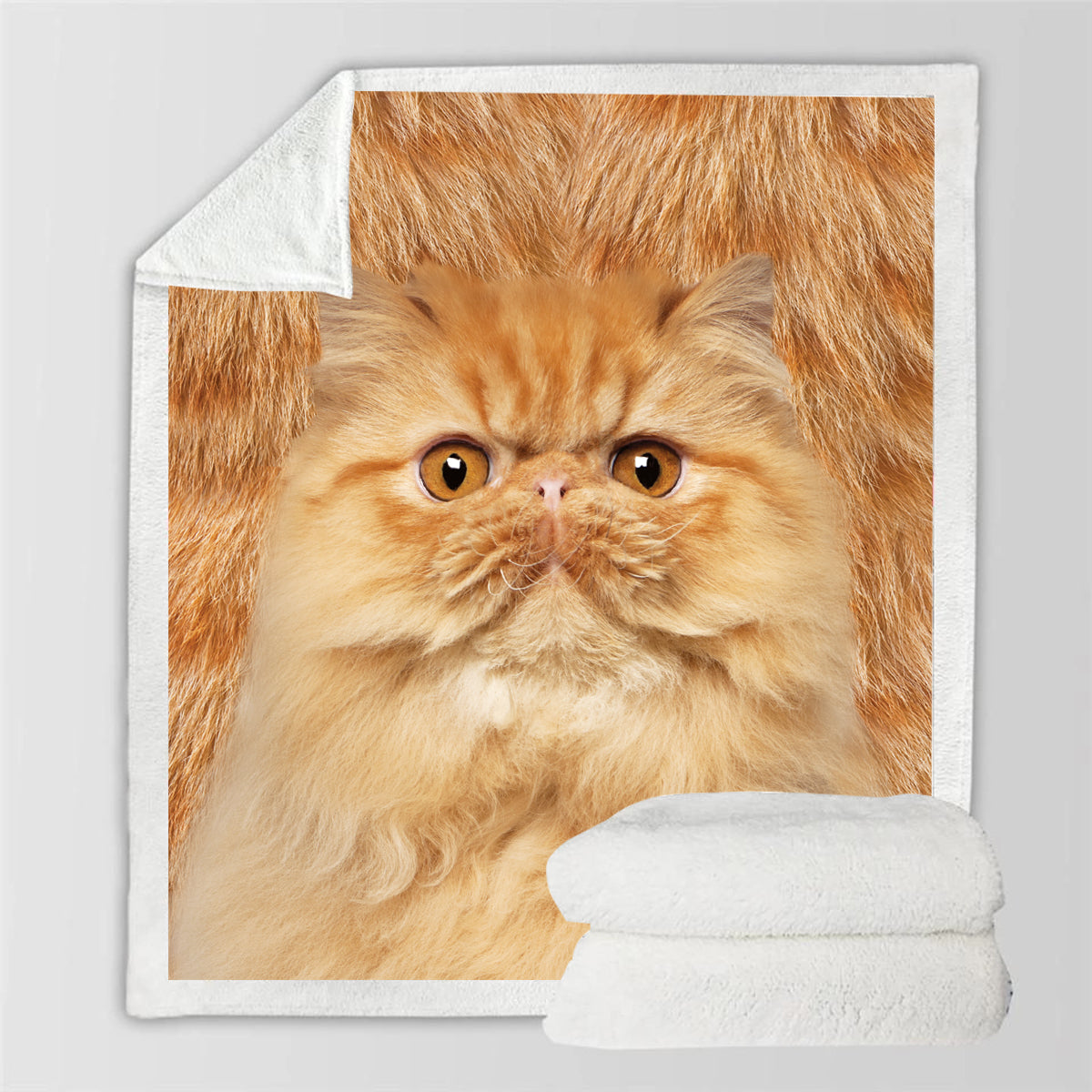 Persian Cat - Blanket V1