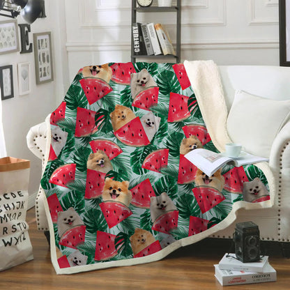 Pomeranian - Colorful Blanket V1