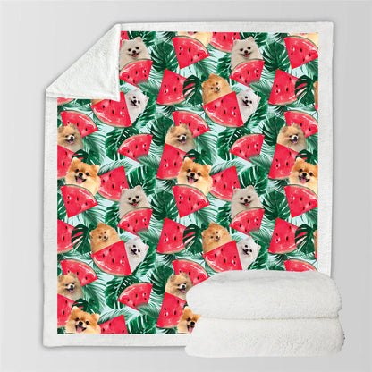 Pomeranian - Colorful Blanket V1