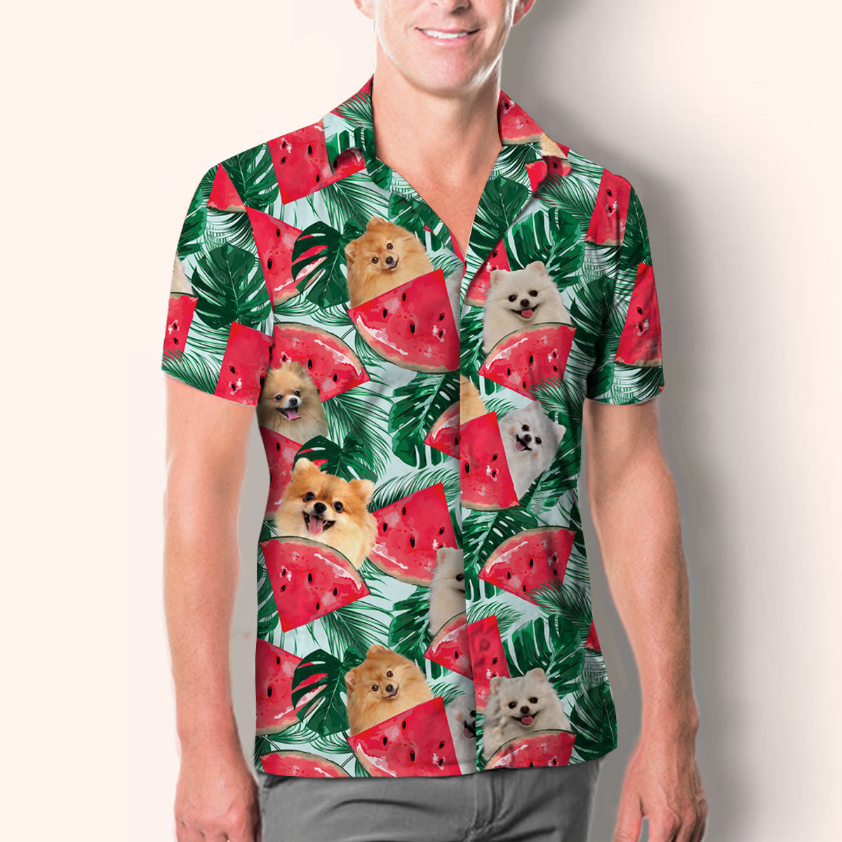 Pomeranian - Hawaiian Shirt V1