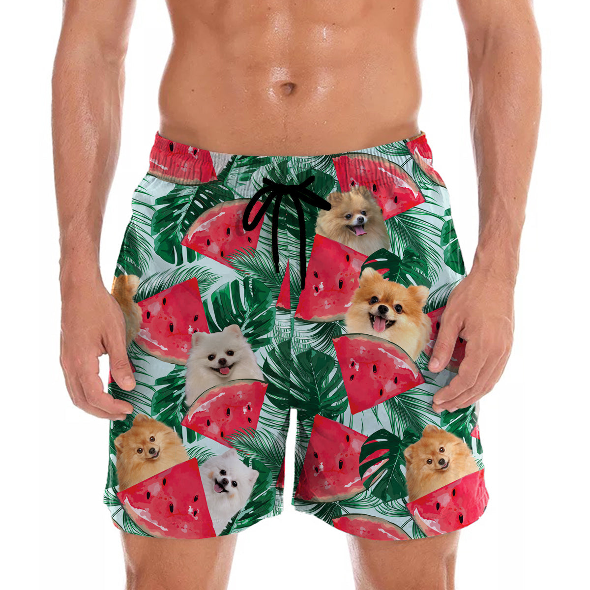 Pomeranian - Hawaiian Shorts V1