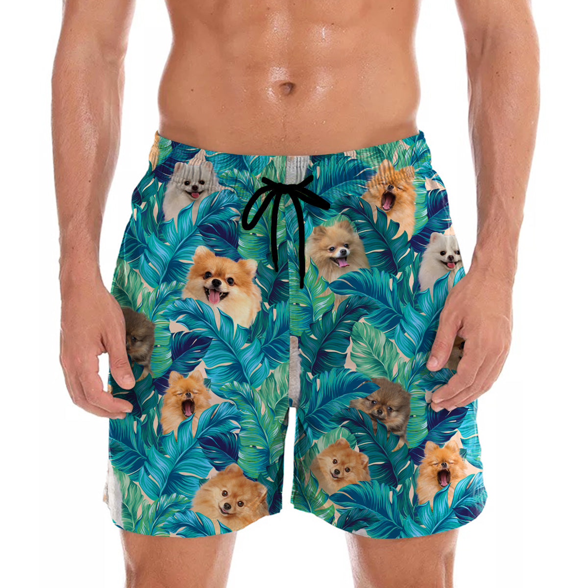 Pomeranian - Hawaiian Shorts V2